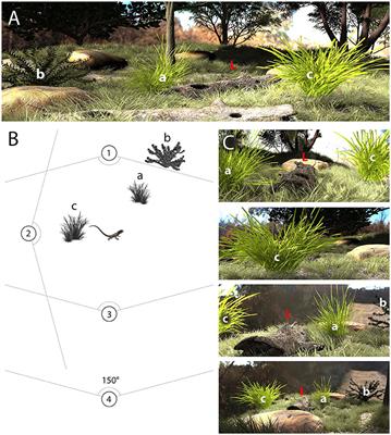 Quantifying Ecological Constraints on Motion Signaling